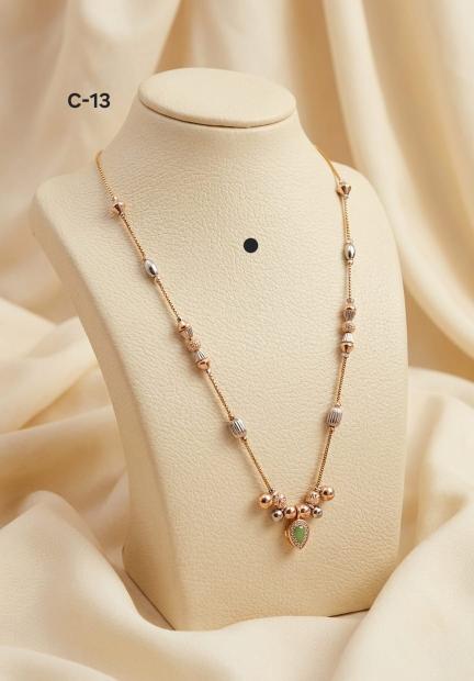 vani necklace set 1 Fashion jewellery in Gujarat